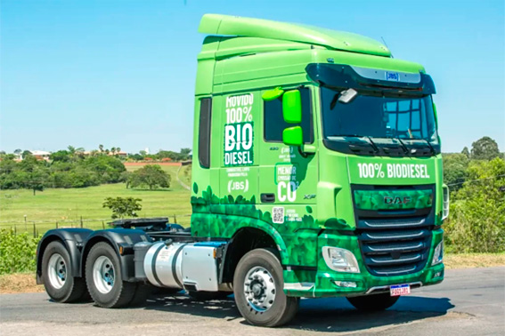 Rendimento do Biodiesel
