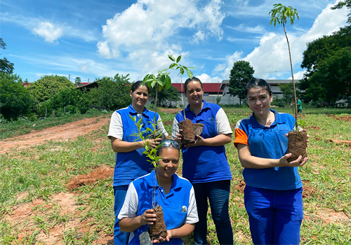 Equipe de uniforme azul com mudas de árvore antes do plantio