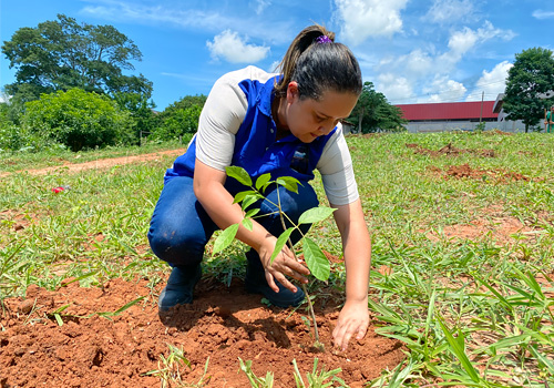 Funcionária plantando uma muda de árvore em área da unidade